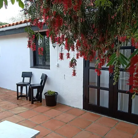Rayo Del Sol Bed & Breakfast