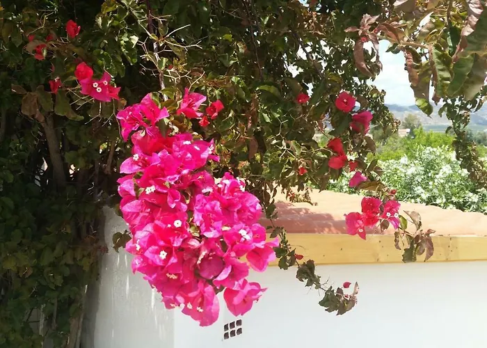 Rayo Del Sol Bed & Breakfast 4*